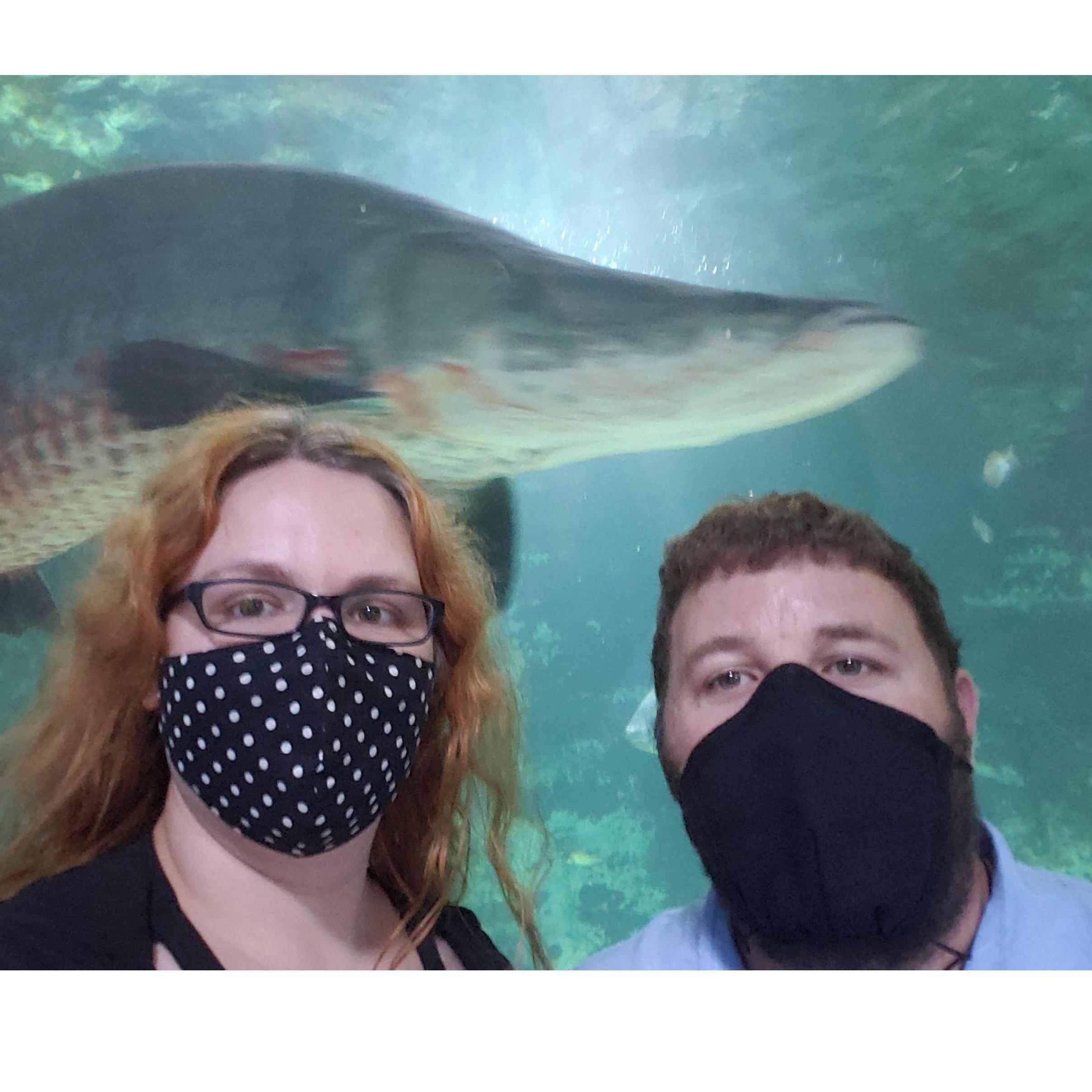 We don't have many photos from 2020 because of the mask mandate, but enjoy this photo from the Newport Aquarium!