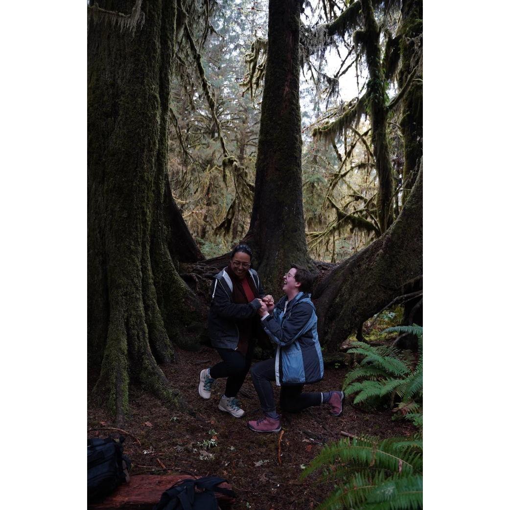 A nearby photographer captured the moment that Monica said "yes" in the Hoh Rainforest.