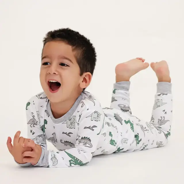 Dinosaurs Long Sleeve Pajama Set