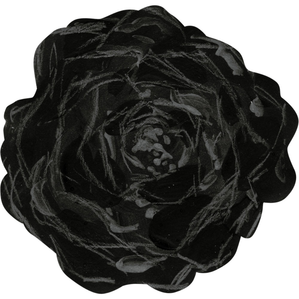 Hero Image 1