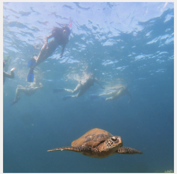 The Wedding Website of Leilani Torio and JayR Solsoloy