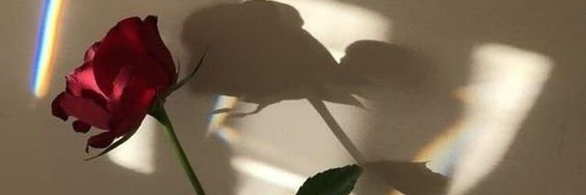 The Wedding Website of Kayla Hamilton and Daniel Joya