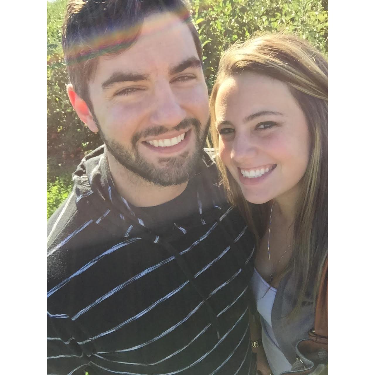 Apple picking