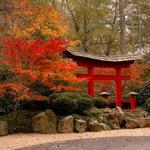 Birmingham Botanical Gardens