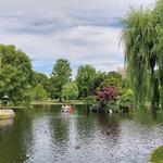 Boston Common