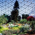 Mitchell Park Domes Horticulture Conservatory