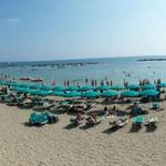 Beach Beach!