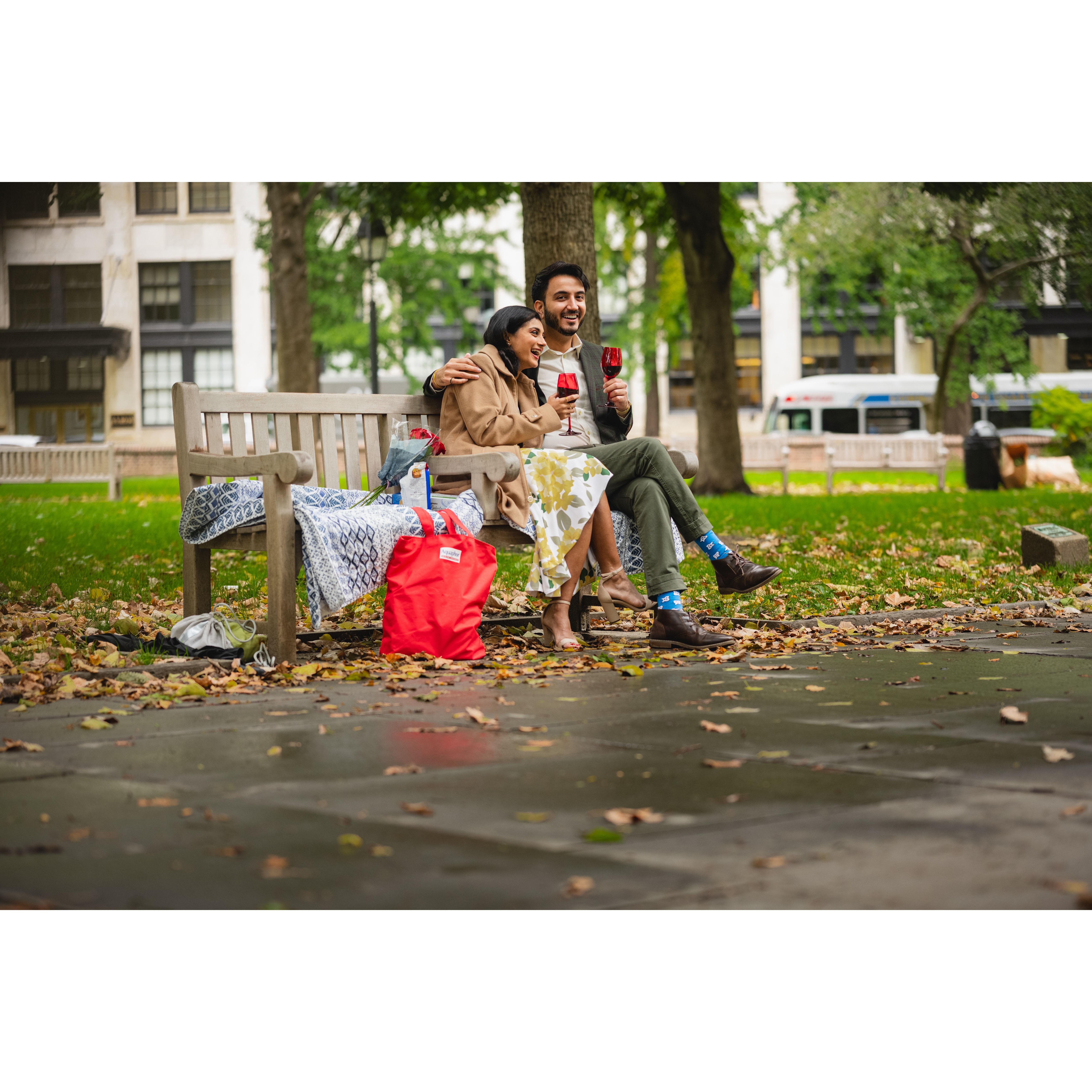 The picnic of the proposal