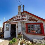 Lobster Landing