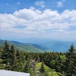 Deep Gap Trail at Mount Mitchell State Park