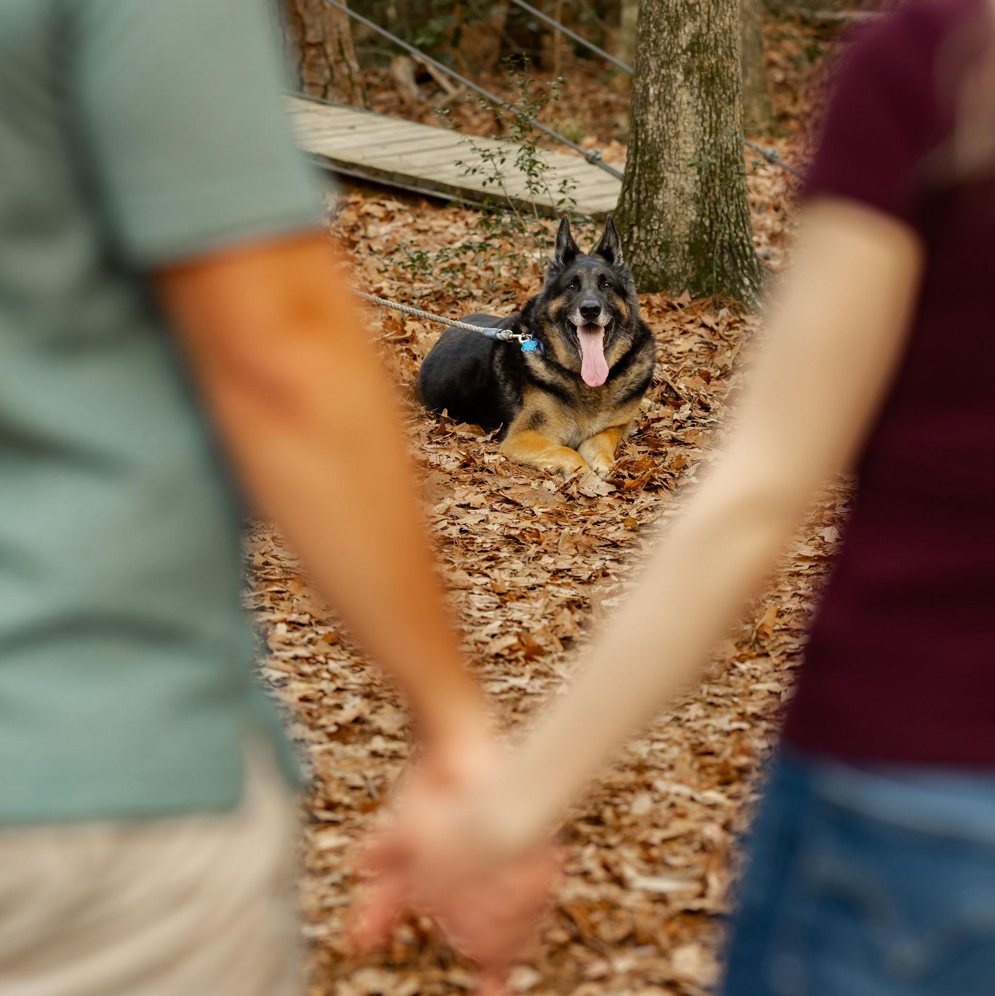 Loki - Photography by Wild Ivy Creative