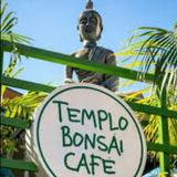 Templo Bonsái Café