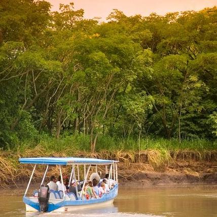 Costa Rican Boat Safari