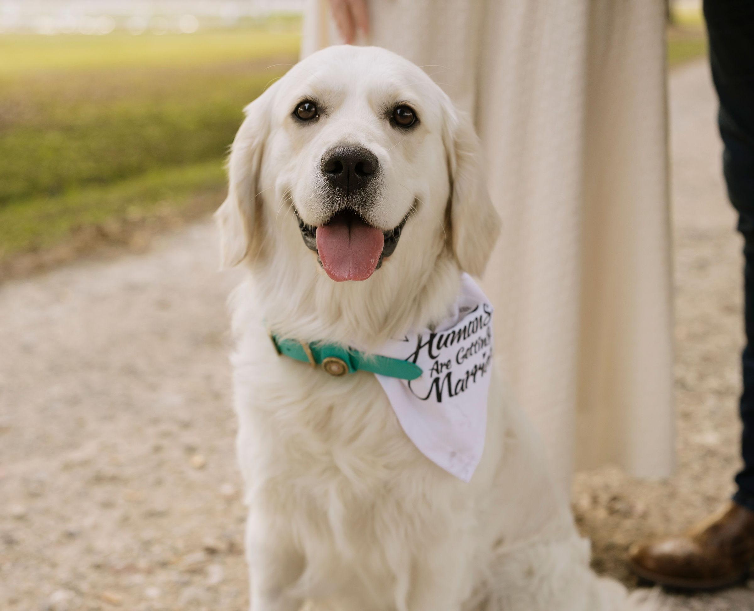 The Wedding Website of Chadwick Lairsey and Lindsey McNally