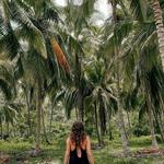 Caminata al Parque Nacional Tayrona