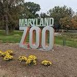 The Maryland Zoo in Baltimore