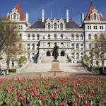 New York State Capitol