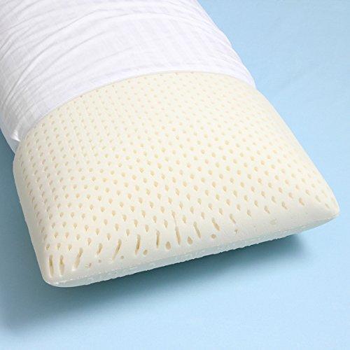 Authentic Talatech 230 Thread Count Latex Foam Medium Density Pillow - Queen