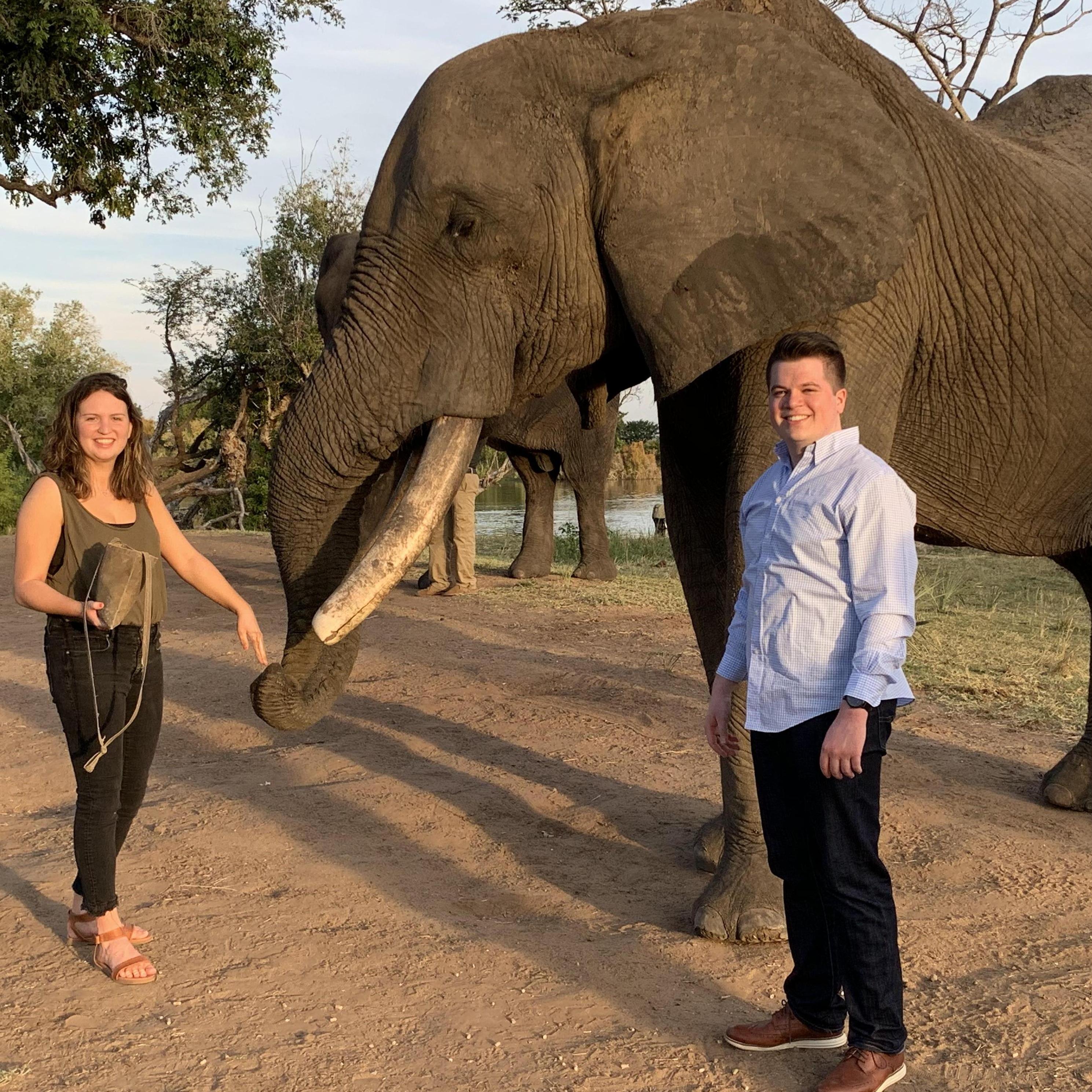 Hanging out with an elephant