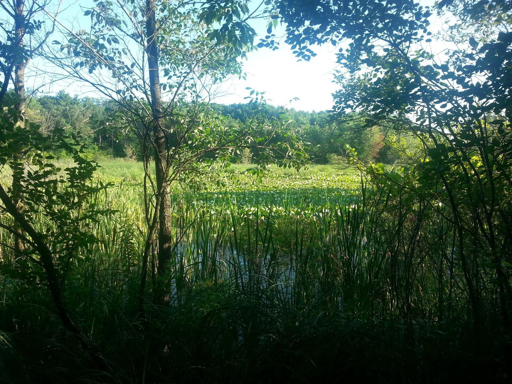 The Wedding Website of Kara Robart and Travis Raley