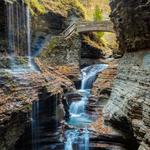 Watkins Glen