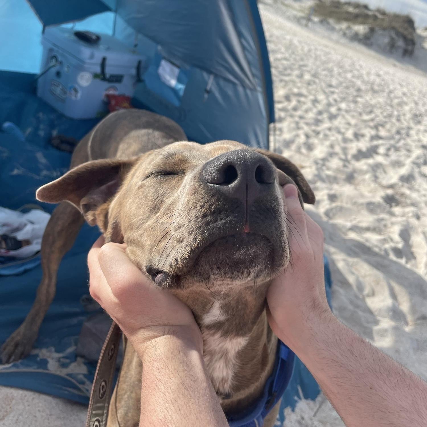 03.10.2024 | St. Augustine | Doug's first spring break beach trip