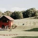 Sassafras Springs Vineyard and Winery