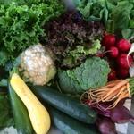 Davison Farmer’s Market