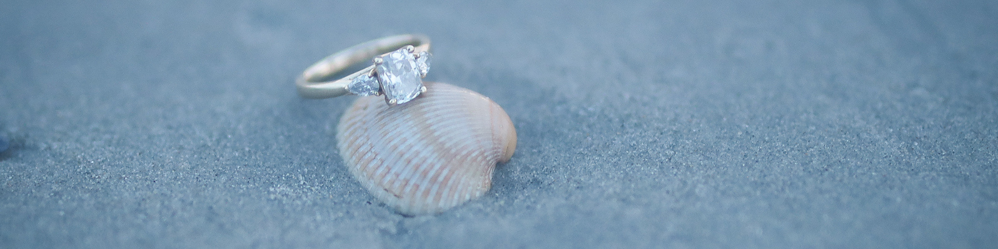 The Wedding Website of Megan Hardy and Zachary McHugh