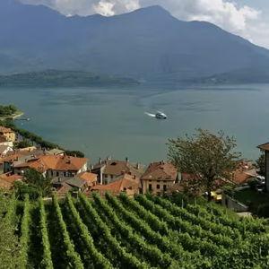 Honeymoon Wine Tasting