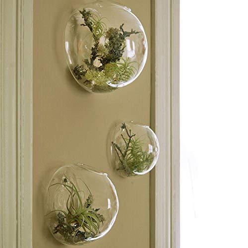 Set of 3 Wall Hanging Terrariums Indoor Plants Holders Wall Glass Vase for Flowers Wall Mounted Planters for Succulents Air Plants Wall Decoration for Sunroom Living Room