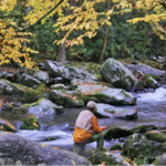 Fishing in the Area