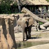 Dallas Zoo