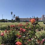 Mission Rose Garden