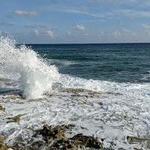 The Blowholes