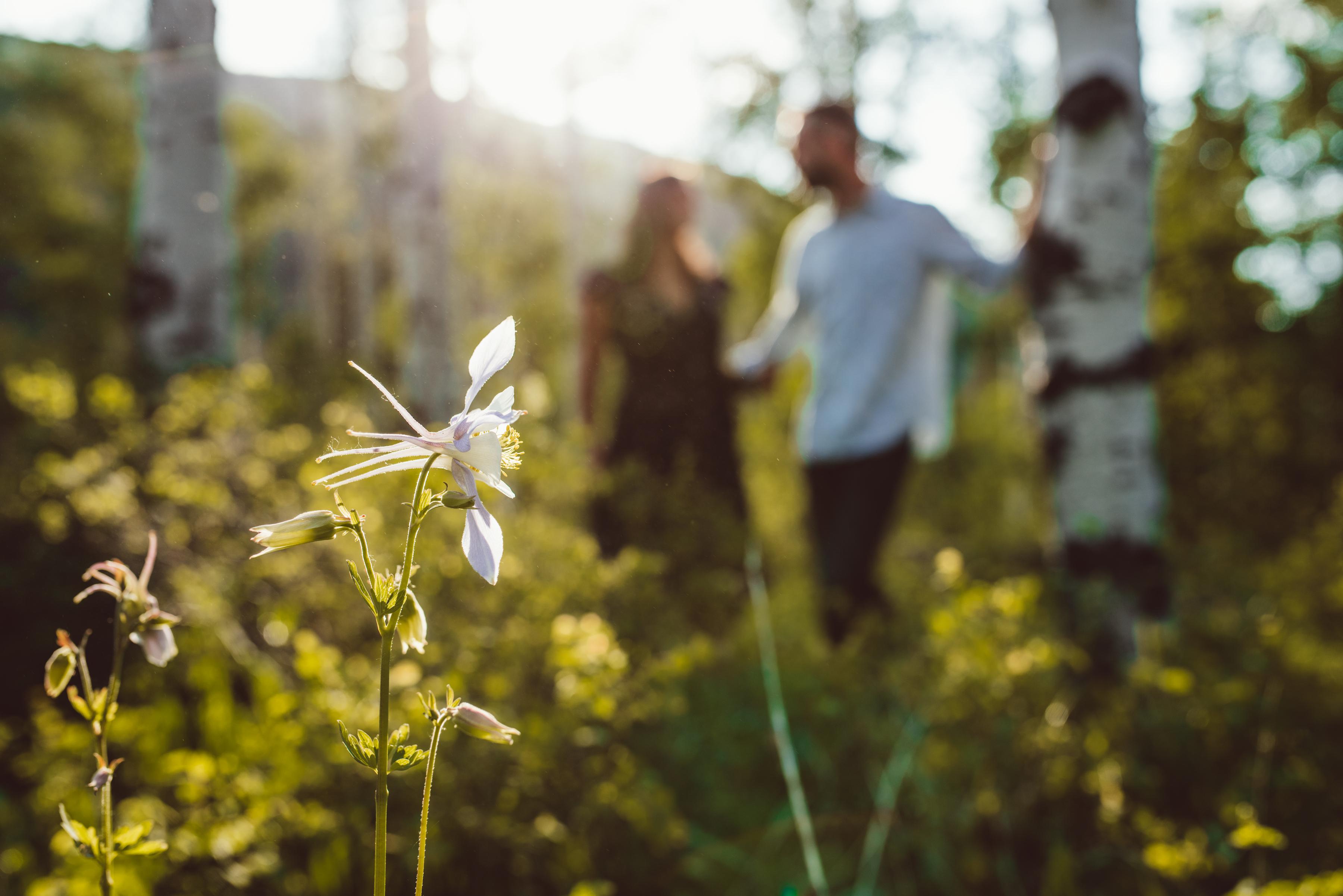 The Wedding Website of Aubrey DiDonato and Jonas Verheyen
