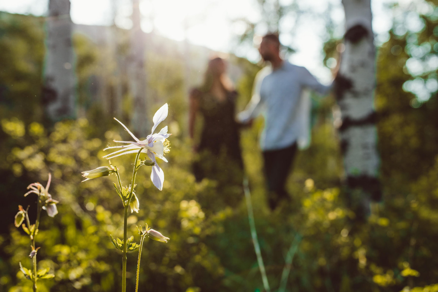 The Wedding Website of Aubrey DiDonato and Jonas Verheyen