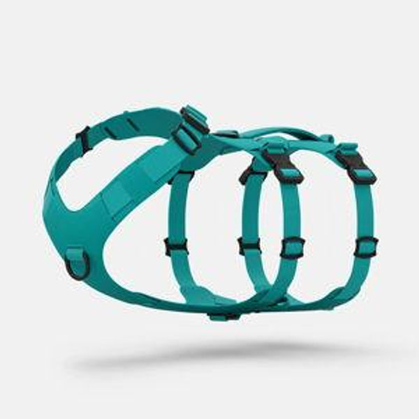 Muse™ dog harness - Large, Teal
