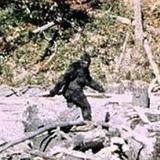 North American Bigfoot Center