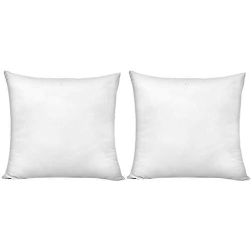 HIPPIH 20 x 20 Inch Pillow Inserts (Set of 2), Decorative Throw Pillow Inserts, Hypoallergenic Square Pillow Form Insert with Zips, Upgraded