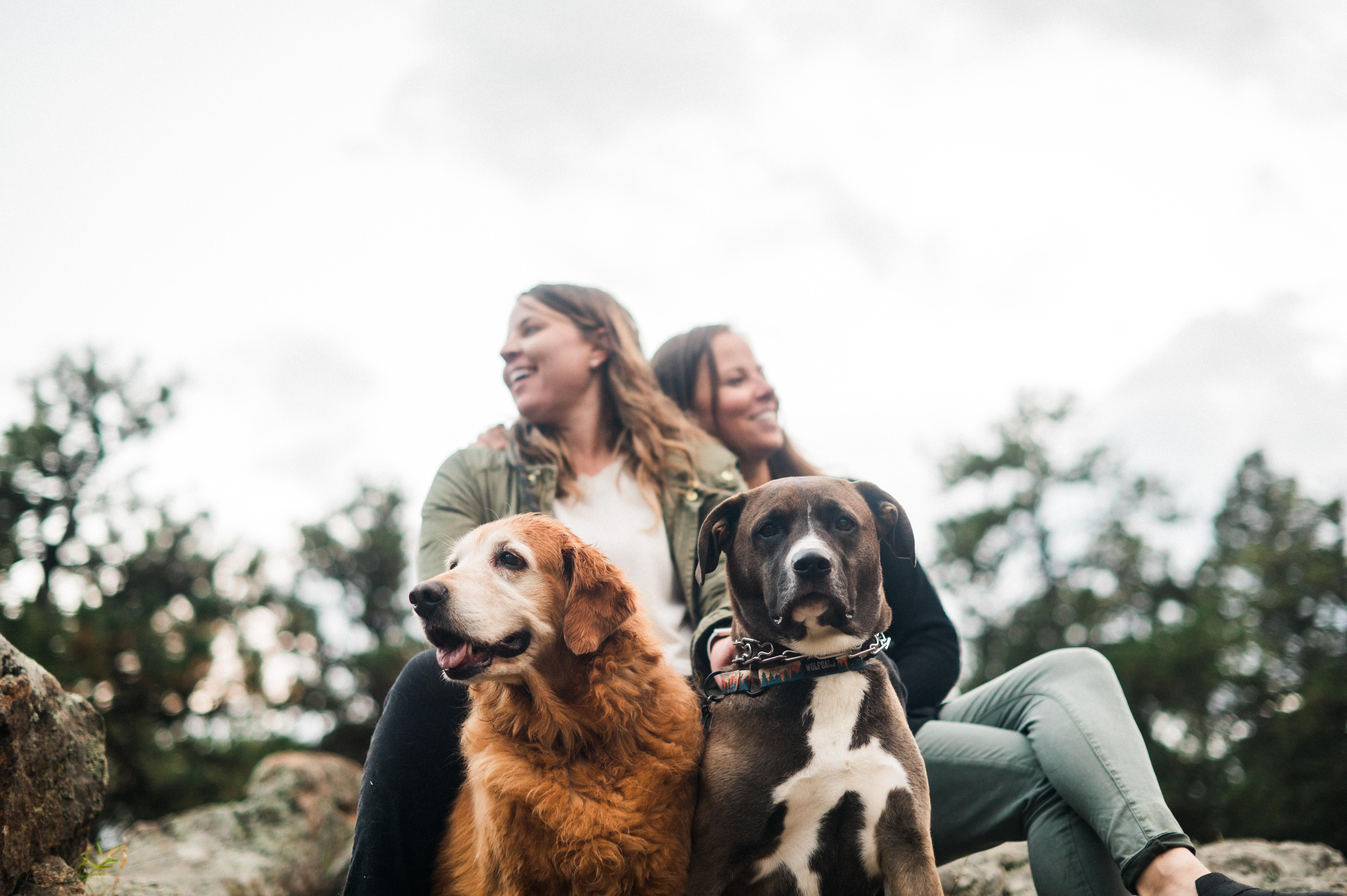 The Wedding Website of Lindsay Meredith and Cortney Steele