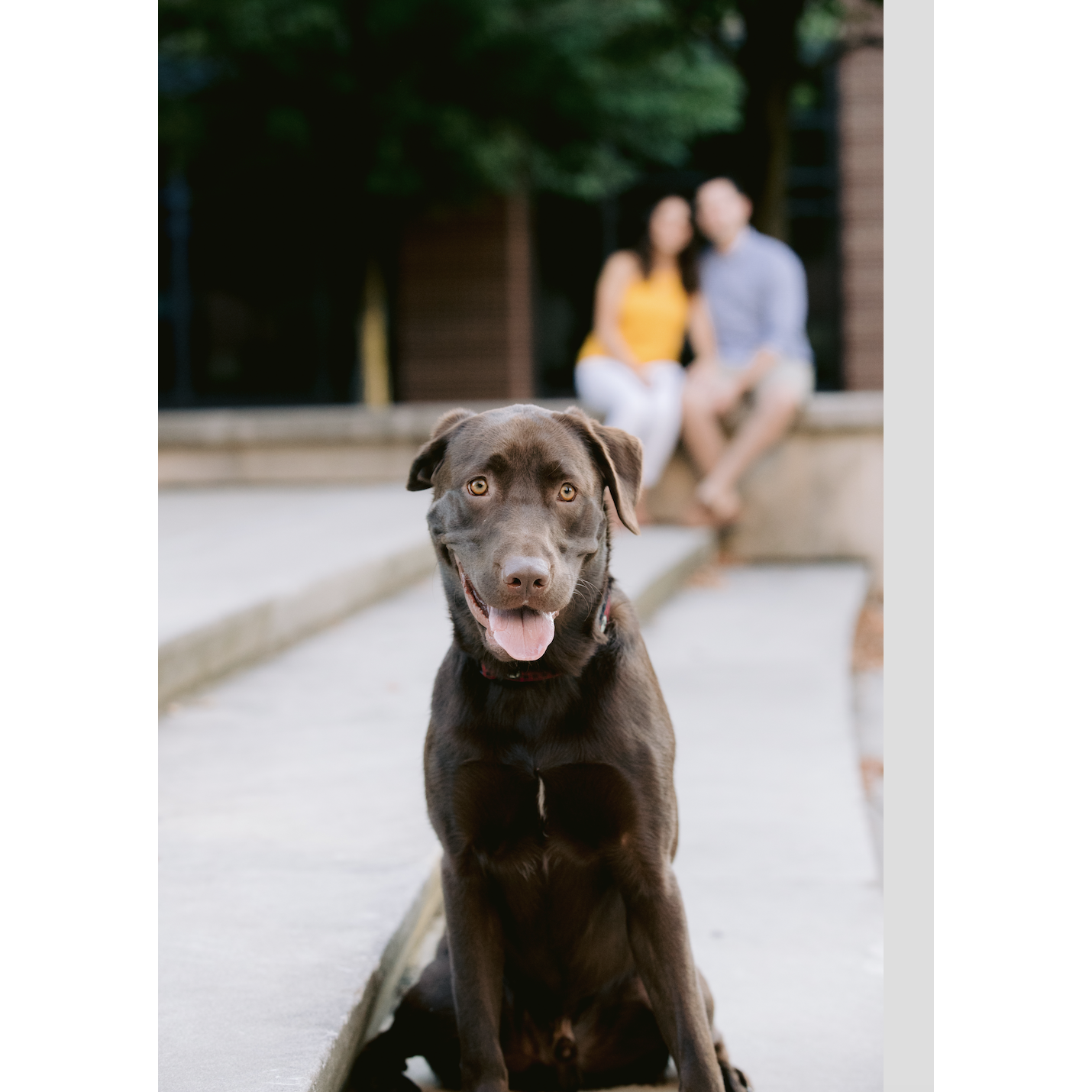 Engagement Photos!