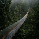 Capilano Suspension Bridge Park