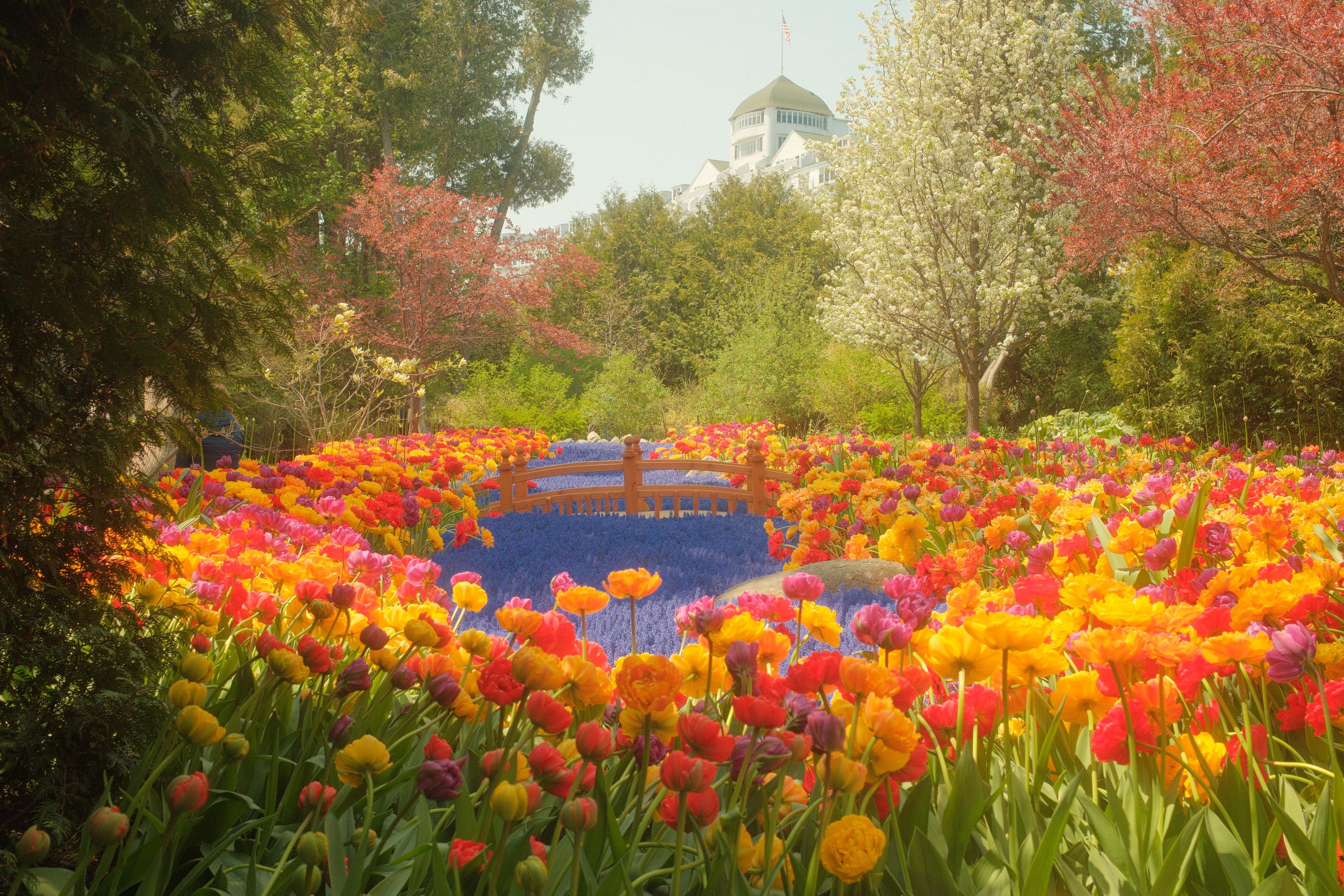 The Wedding Website of Brandon Tran and Anna Phillippe