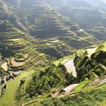 Banaue Rice Terraces