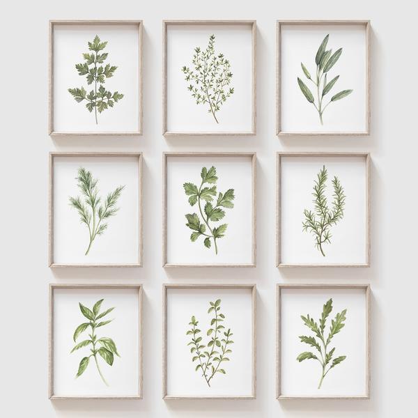 Herb Set Art 8x10