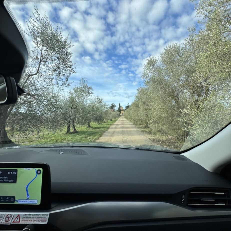 Up there is the bnb (some of our guests are staying at) that you will pass to get to Quercia al Poggio.