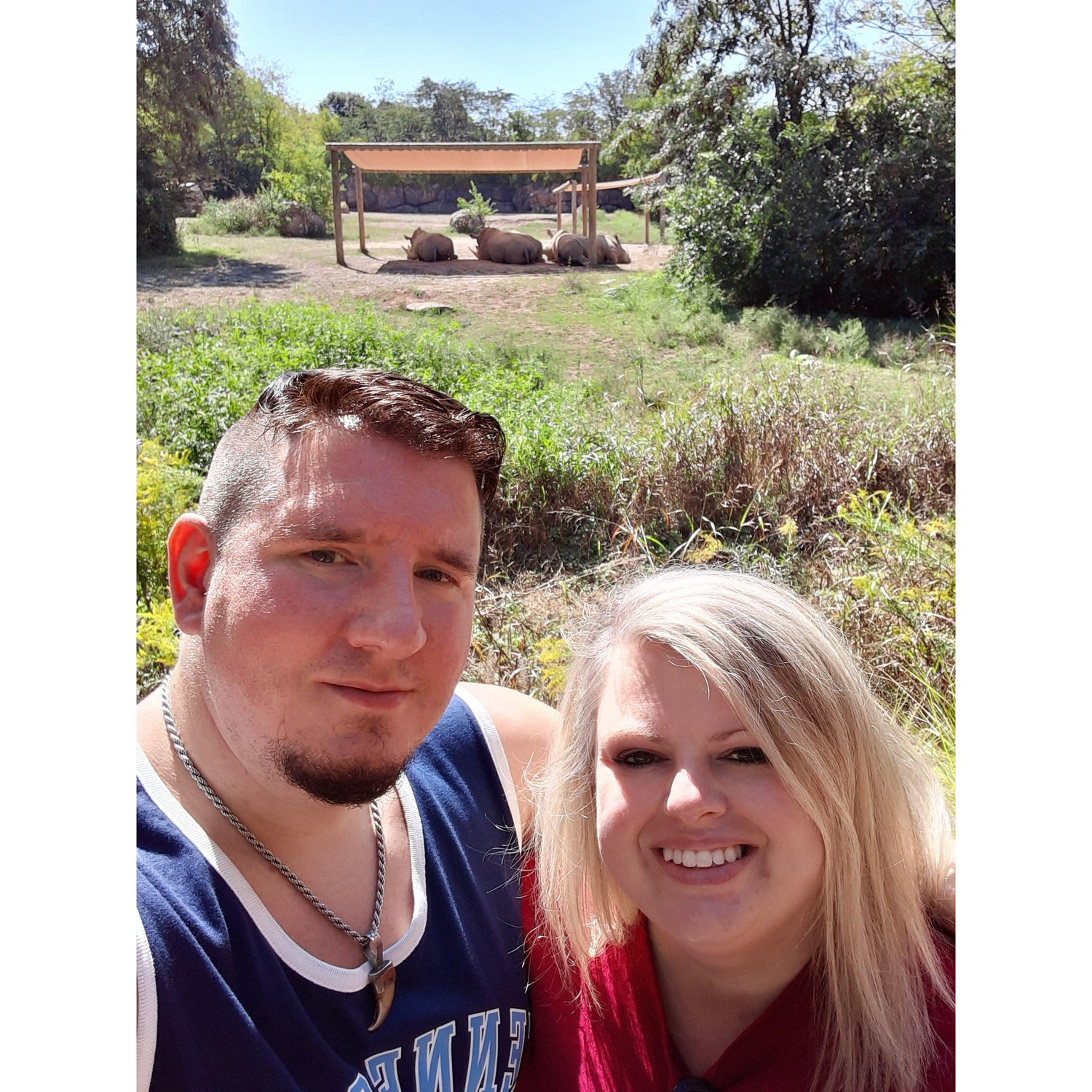 Nashville Zoo
