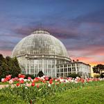 Anna Scripps Whitcomb Conservatory