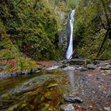 Goldstream Provincial Park